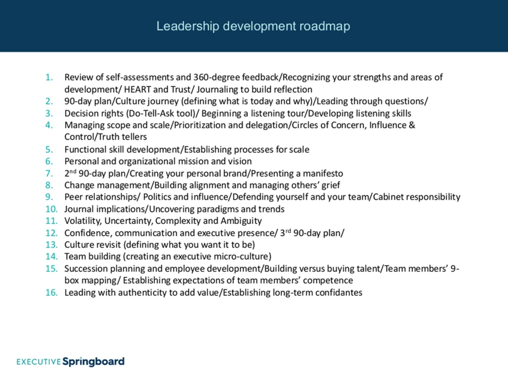 Senior leader receiving executive mentoring